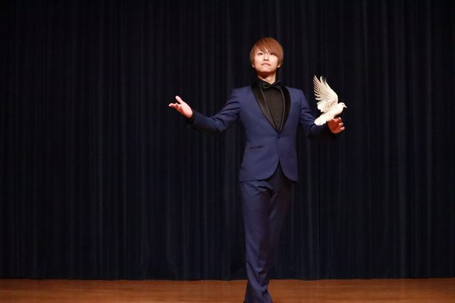 鳩を使ったステージマジック